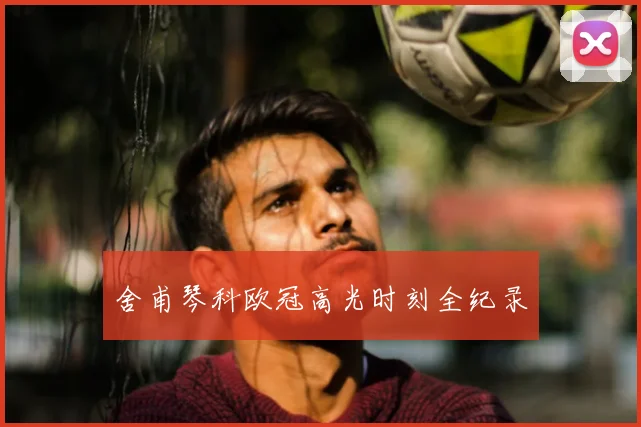 舍甫琴科欧冠高光时刻全纪录