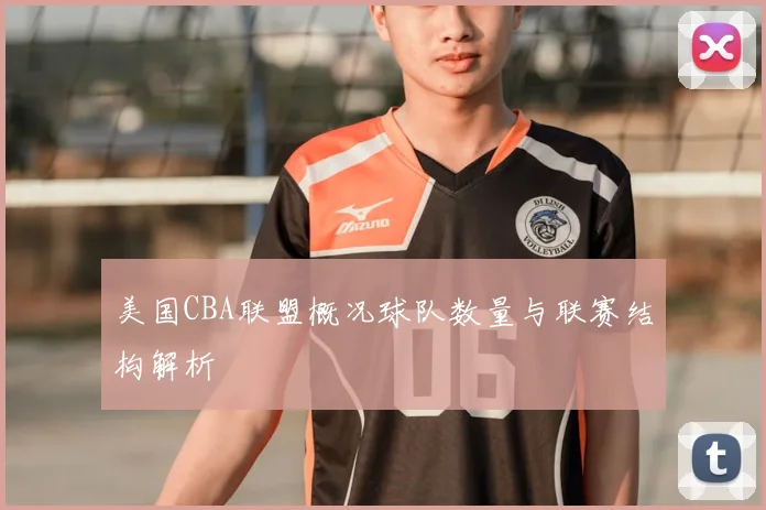 美国CBA联盟概况球队数量与联赛结构解析